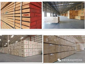 盘点2017年上半年入驻中国建材迪拜海外仓产品动态与销售趋势